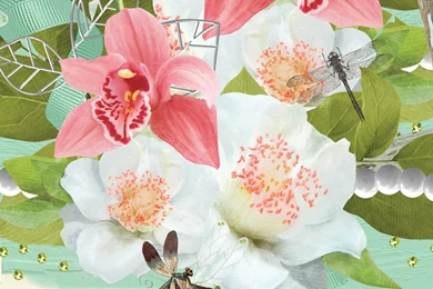 Floral, Dragonflies, Wallpaper, Nature, Wallpapers   1457295