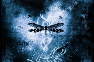 Dragonfly Backgrounds   Wallpapers Cave