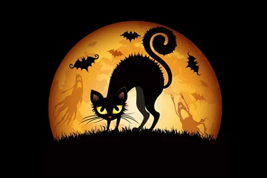Halloween Cats Bats Wallpapers