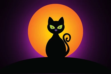 Halloween Moon With Black Cat Silhouette HD Wallpapers