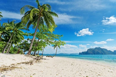 Tropical Beach Best Picture