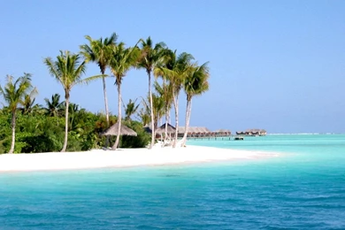 Tropical Beach Quotes. QuotesGram