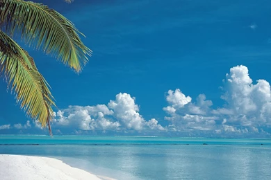 Tropical Beach Wallpapers   208921