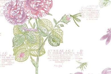 Tropical Flowers, Butterflies, And Dragonflies Wallpapers ...