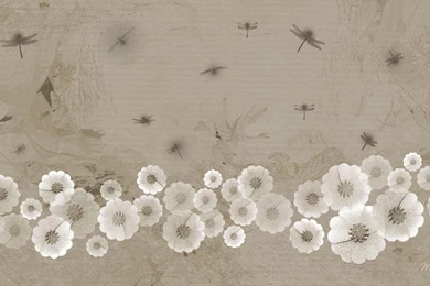 Dragonfly Floral >> HD Wallpaper, Get It Now!