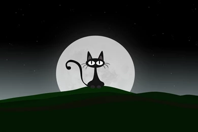 Black Cat, Full Moon, Halloween 1680x1050   Wallpapers   ImgPrix