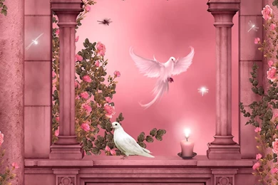 Doves Dragonflies >> HD Wallpaper, Get It Now!