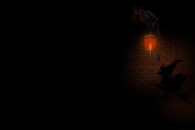 1440x900 Angry Cat Desktop PC And Mac Wallpapers