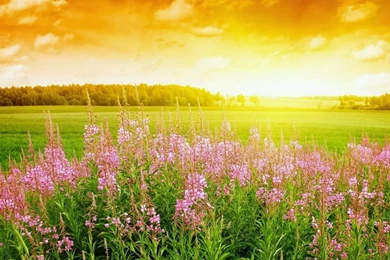 Laptop Full Hd   Wallpapers HD Base