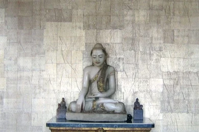 Multifarious: Maya Romanoff's Grand Canvas