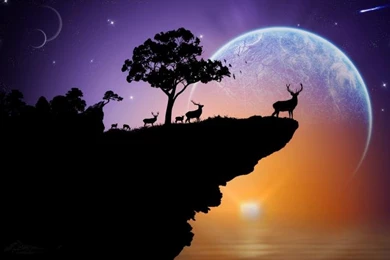 Silhouette, Deer, Planet, Sky, Stars, Trees, Rock, Sunset ...