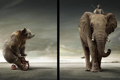 Creative And Innovative Graphic Design For Advertising 1680x1050 ...