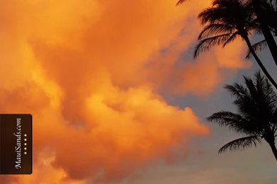 Hawaii Wallpapers From Maui Sands