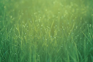 Download All The IOS 7 iPad Wallpaper Backgrounds Here   IClarified