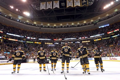 Bruins Wallpapers 326 Xe   WallpaperXe.com