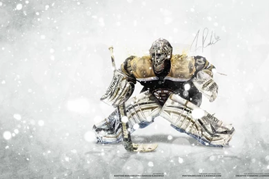 NHL Goalie Series