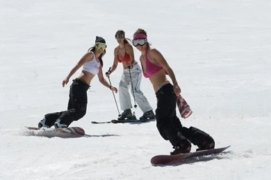 Winter Season Wallpapers   Crazy Frankenstein