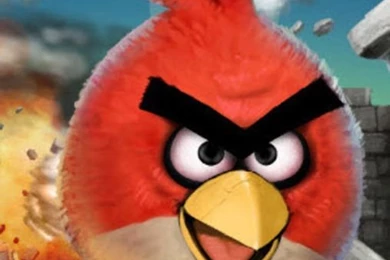 Angry Birds Castle Wallpapers   Download