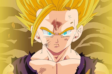 Can Anyone Make This A High Res Wallpaper? : Dbz
