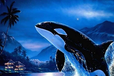 Wallpapers On Pinterest