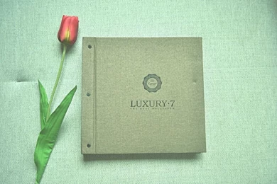 Aliexpress.com : Buy China Luxury7 Wholesale Project Fabric Back ...