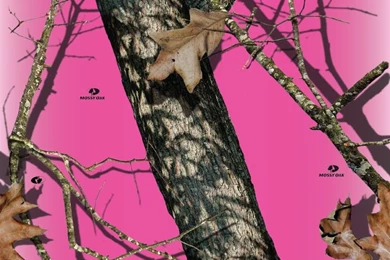 Pink Camo Wallpapers Wallpapers High Definition