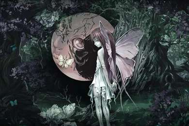 A Butterfly Girl In A Fairy Forest 1241090 Wallpapers   (