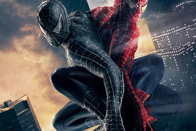 Phone Wallpapers Android T9G   MYWALLPAPERWORLD.COM