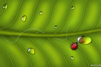 Free Wallpapers   Free Art Wallpapers   3D Desktop Wallpapers 5 ...