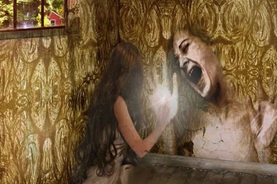 Nineteenth Century American Literature: A Variety Of Women's ...