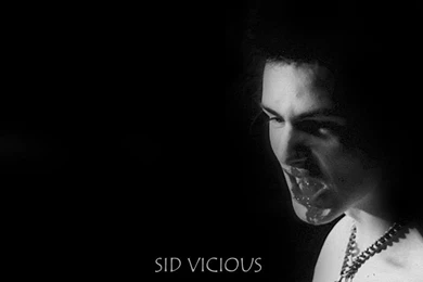 Sid Vicious Wallpapers   Wallpapers Cave