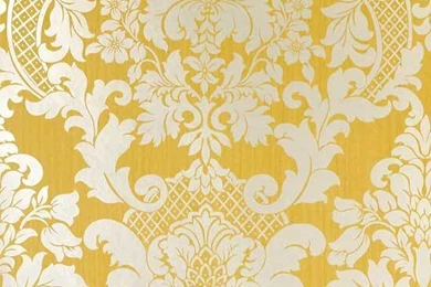 The Cage Of Patriarchy Article (essay, Literature, Patriarchy ...