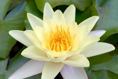 My New Wallpapers On My Phone