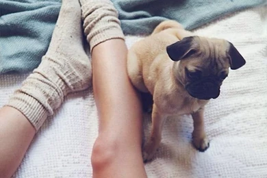 NAPPY'Z WEEKLY VISION