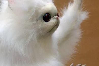 This Thing Is Nightmare Inducing. In Other Words, The New ...