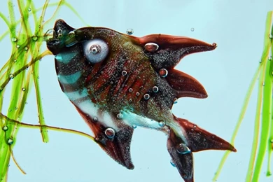 Beautiful Wallpapers Of Colour Hd (53)