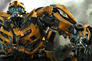 Bumblebee Desktop Wallpapers