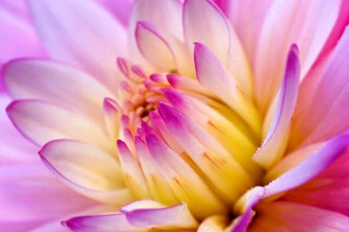 Index Of /wp content/uploads/2015/10/