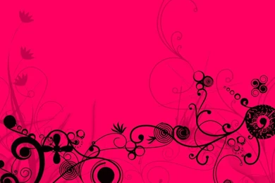 Pink And Black Floral Wallpapers   Widescreen HD Wallpapers