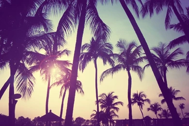 Gallery For   Cute Summer Backgrounds Tumblr