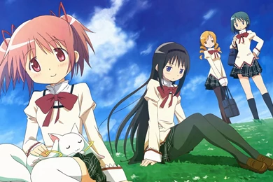 Download Wallpapers 1920x1080 Girl, Cute, Cat, Clearing, Walk ...