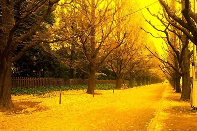 Need Help With College Essay Writing?   EssaySeek , Libel Reform ...