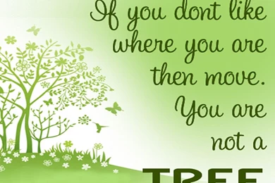 Save Tree Environment Hd Wallpapers Download