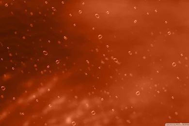 Download Orange Backgrounds With Bubbles Wallpapers 1920x1080 ...