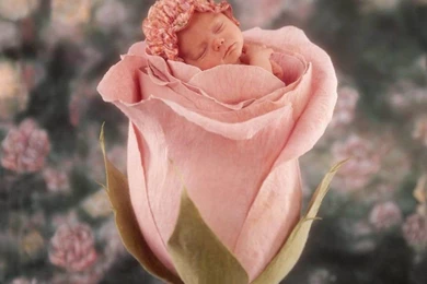 Desktop Wallpapers » Babies Backgrounds » Little Cute Baby In Pink ...