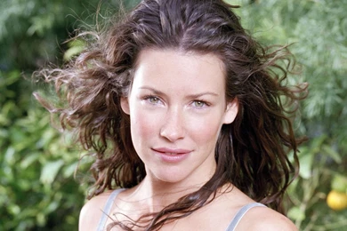 Evangeline Lilly Wallpapers   Celebrity Wallpapers