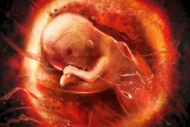 Wallpapers F.E.A.R. F.E.A.R. 3 Games Image