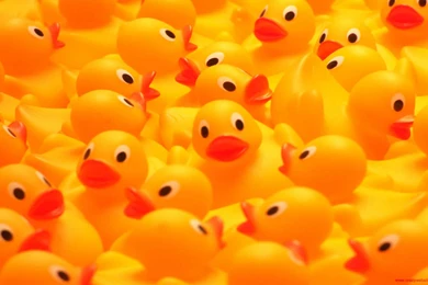 Free Wallpaper Backgrounds ★ For Computer Desktops And Cell ...