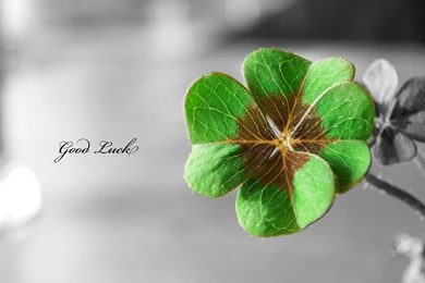Saint Patricks Day Wallpaper For Iphone 16 7.jpg