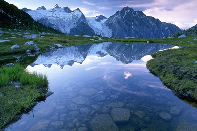 Youwall.com On Reddit.com